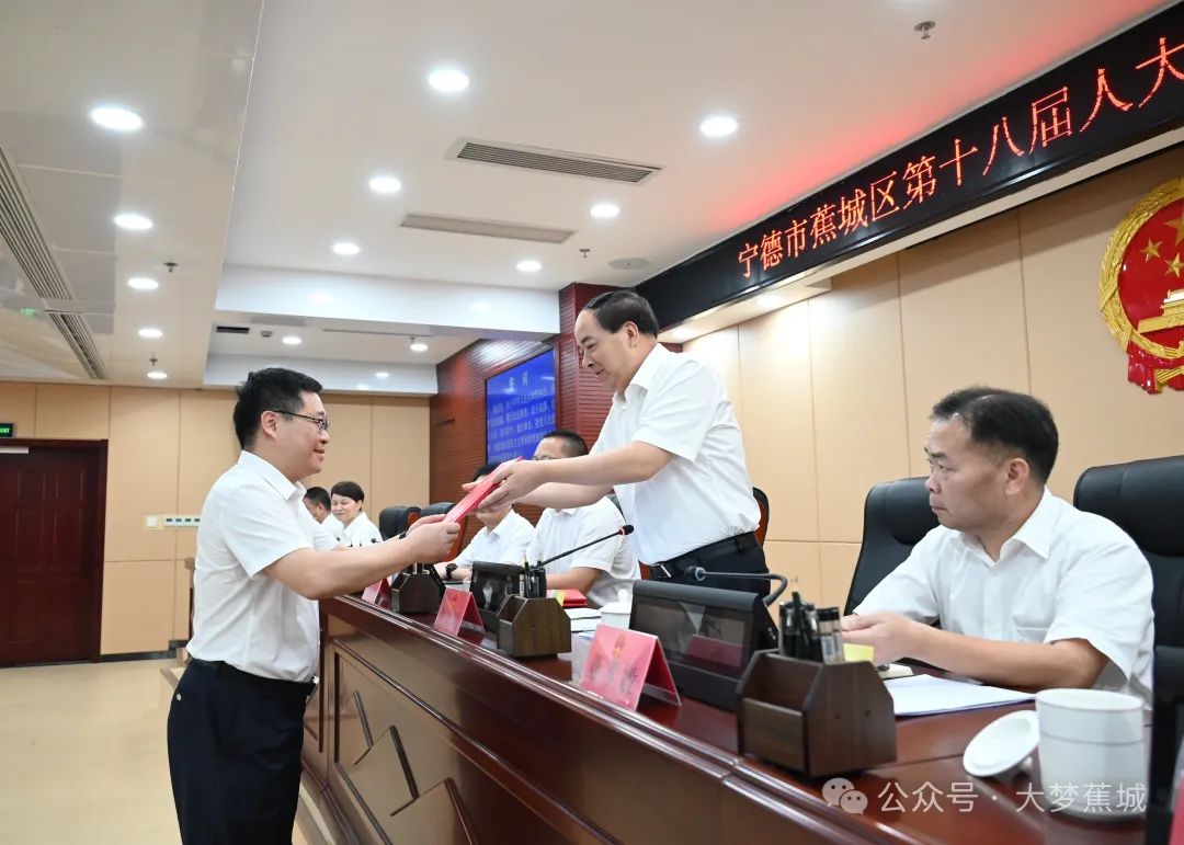 沙市區(qū)人民政府辦公室人事任命，新一輪力量整合推動(dòng)區(qū)域發(fā)展